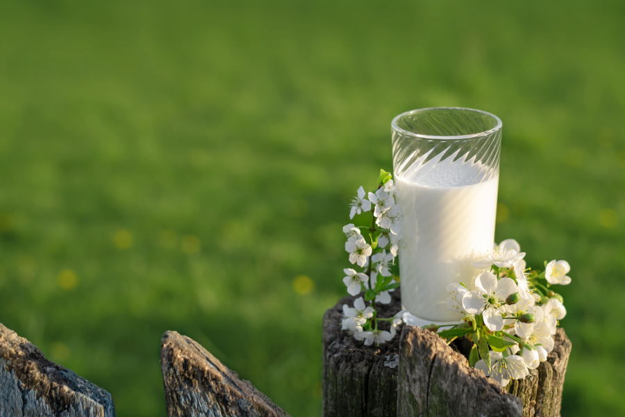 Ein Glas frische Milch auf einem Holzpfahl
